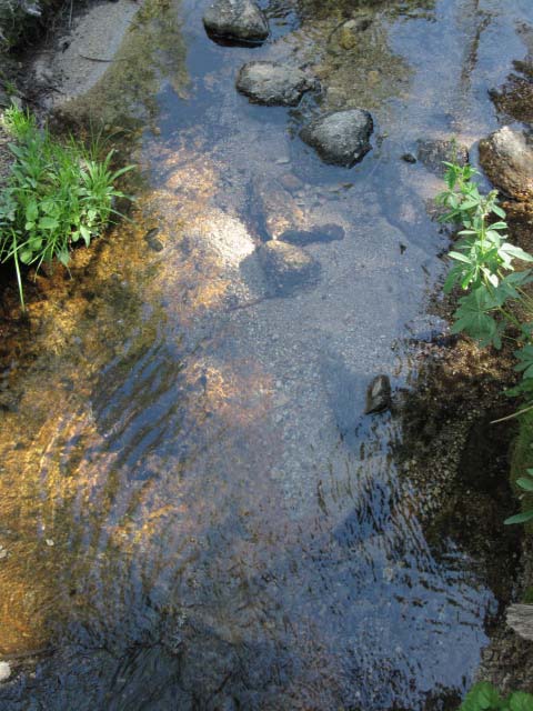 Boulder Creek.